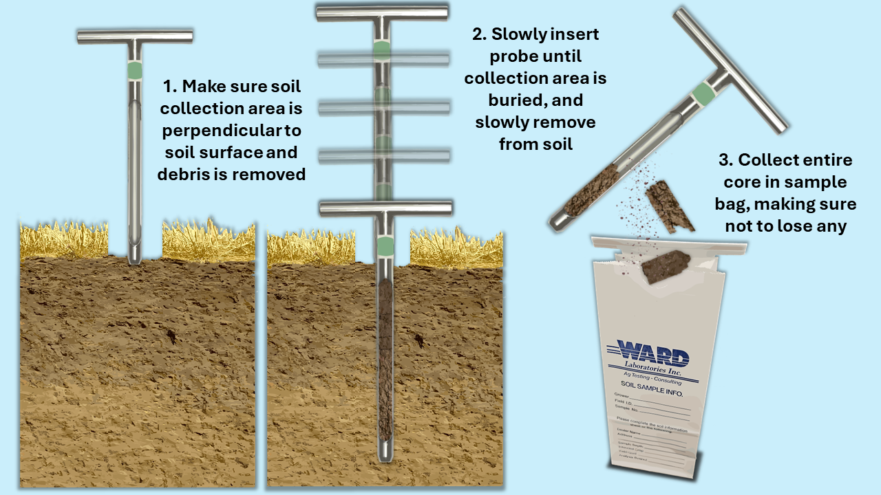 Diagram 1: Soil sampling using a standard soil probe.