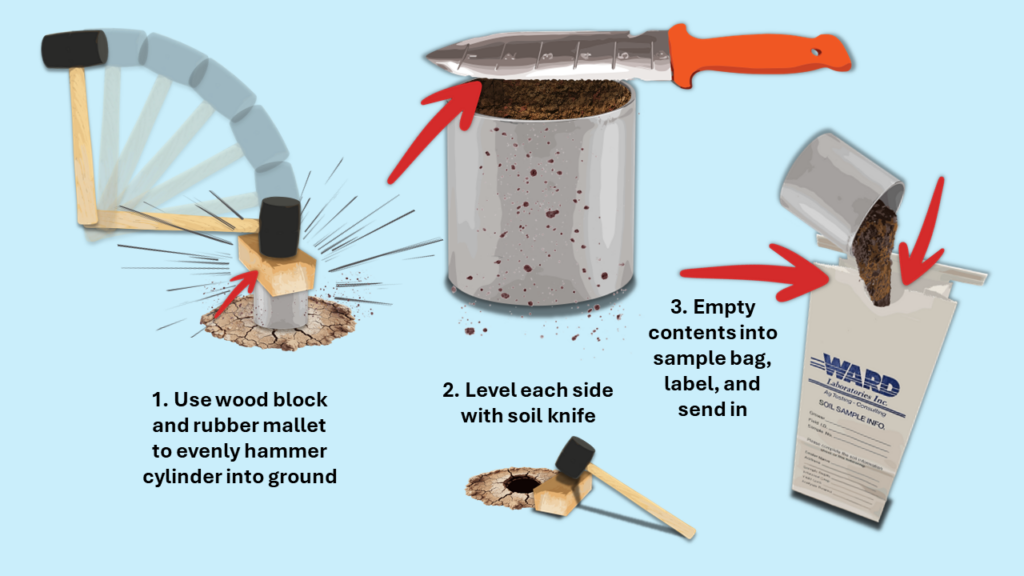 Diagram 2: Soil sampling using a cylinder of known dimensions. This approach requires even insertion and complete removal of the cylinder into the ground. Works well if probes are not available.